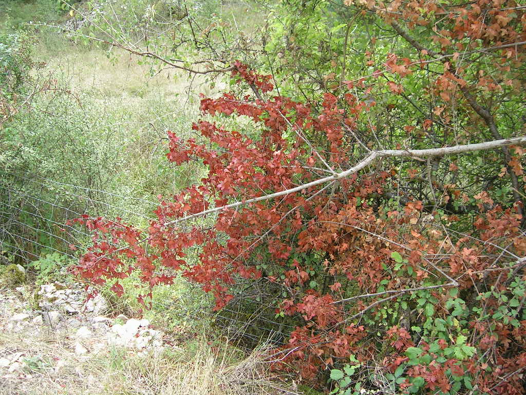 2005.0819.1130.35.Etape 19