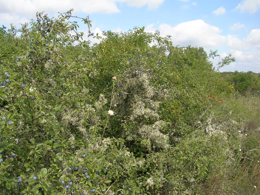 2005.0819.1216.39.Etape 19