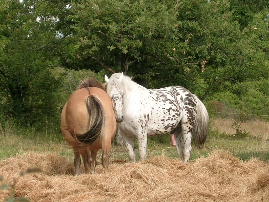 2005.0820.1101.00.Etape 20