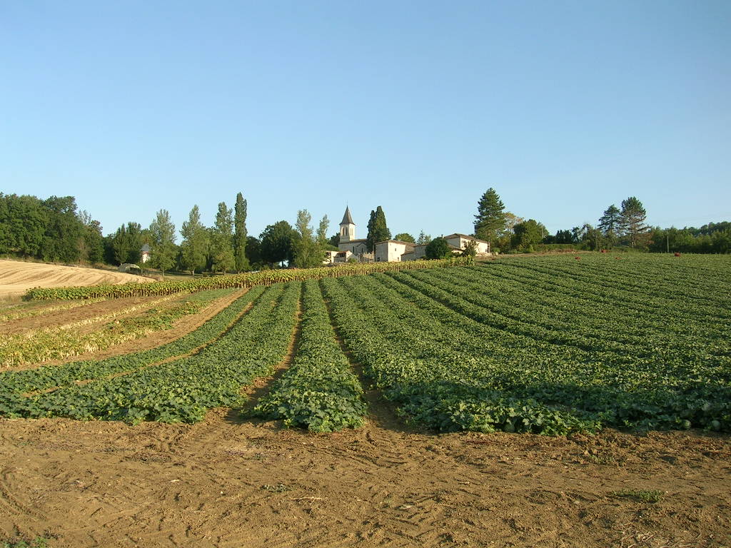 2005.0821.0833.40.Etape 21