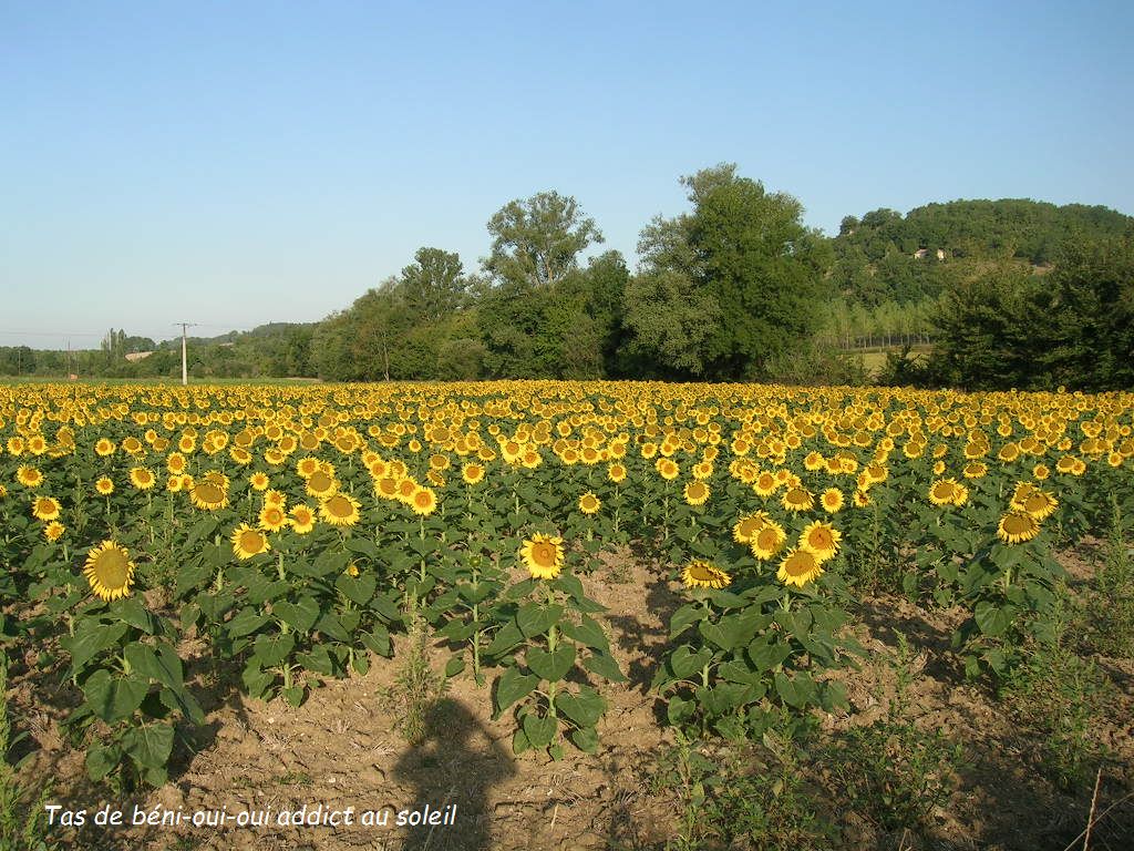 2005.0821.0840.33.Etape 21