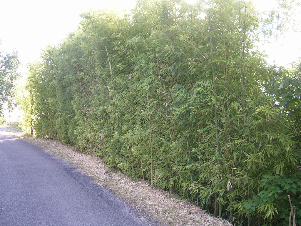 2005.0821.0917.03.Etape 21