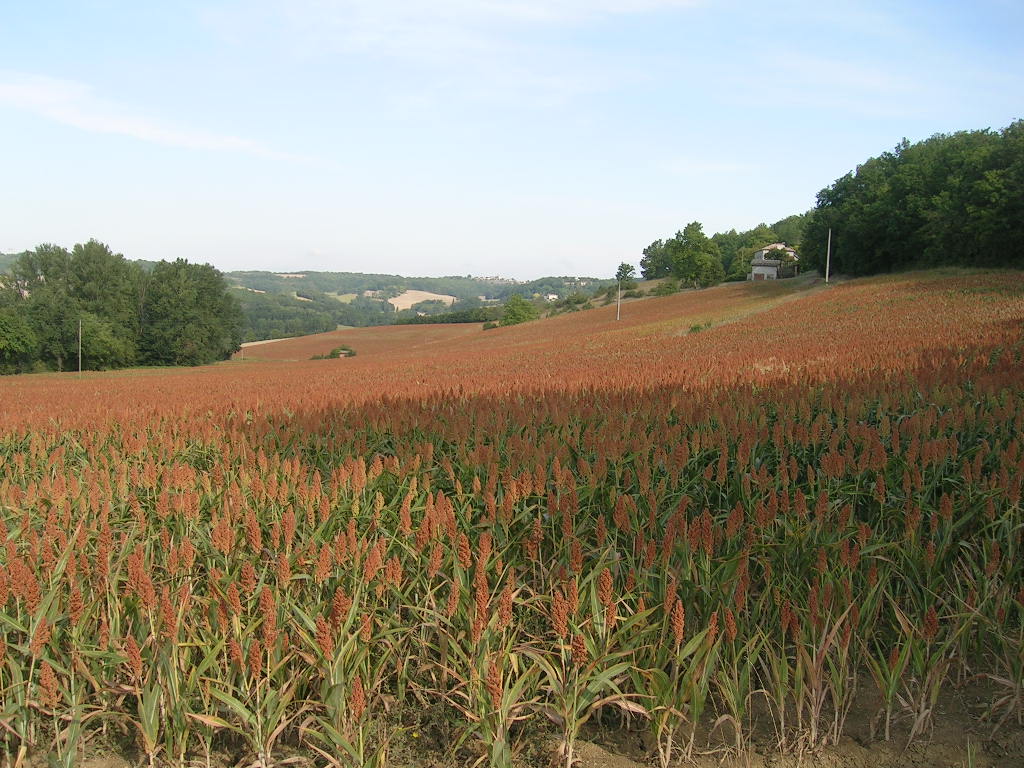 2005.0821.1013.06.Etape 21