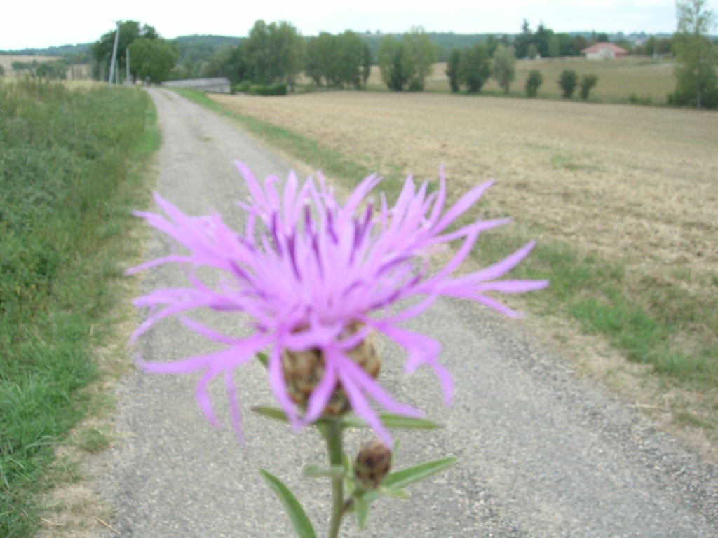 2005.0821.1313.35.Etape 21