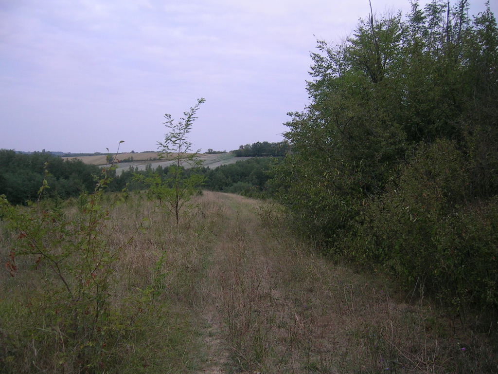 2005.0822.0732.17.Etape 22