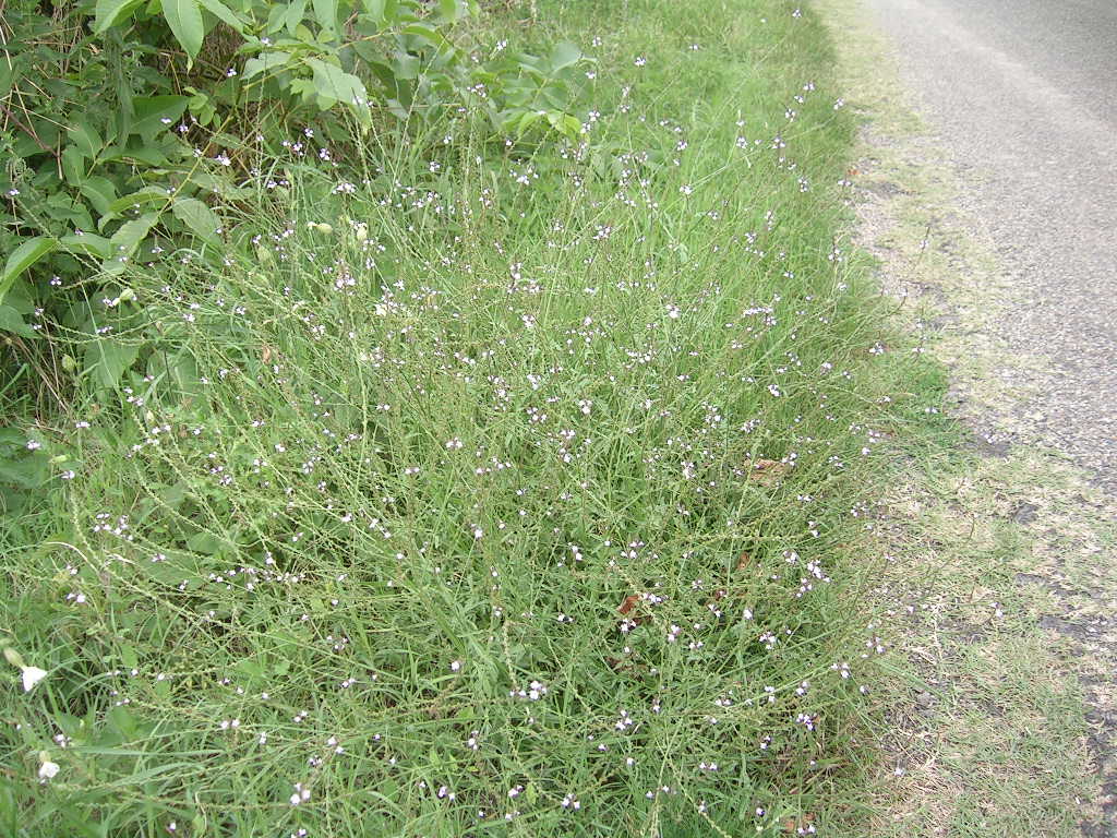 2005.0822.1147.27.Etape 22