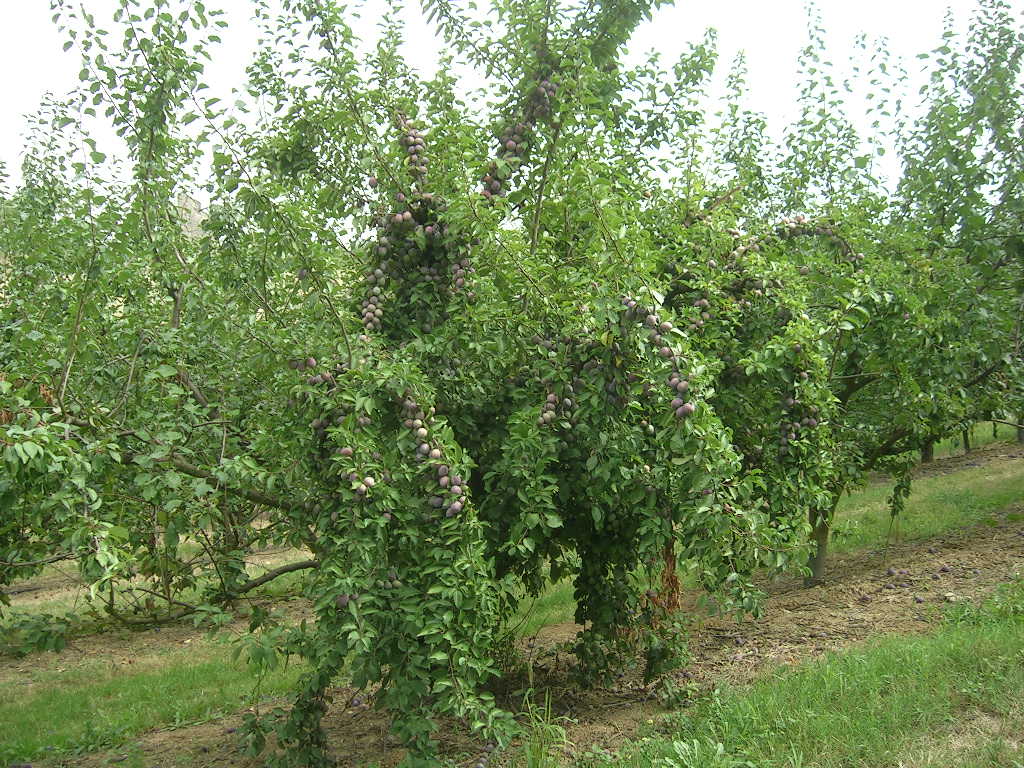 2005.0822.1223.55.Etape 22