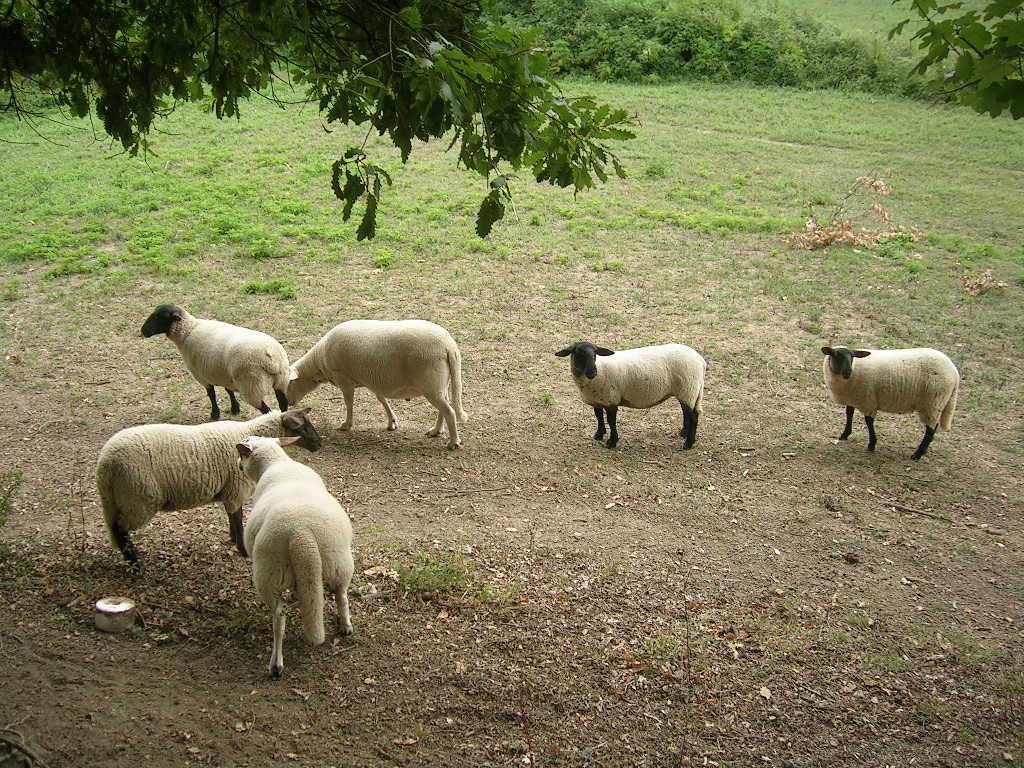 2005.0822.1239.26.Etape 22