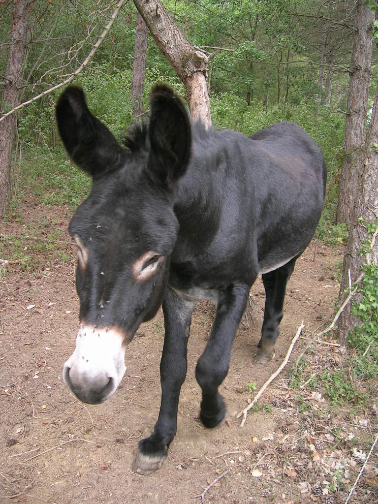 2005.0822.1253.34.Etape 22