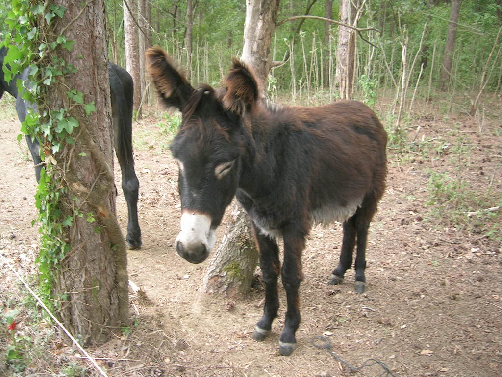 2005.0822.1254.59.Etape 22