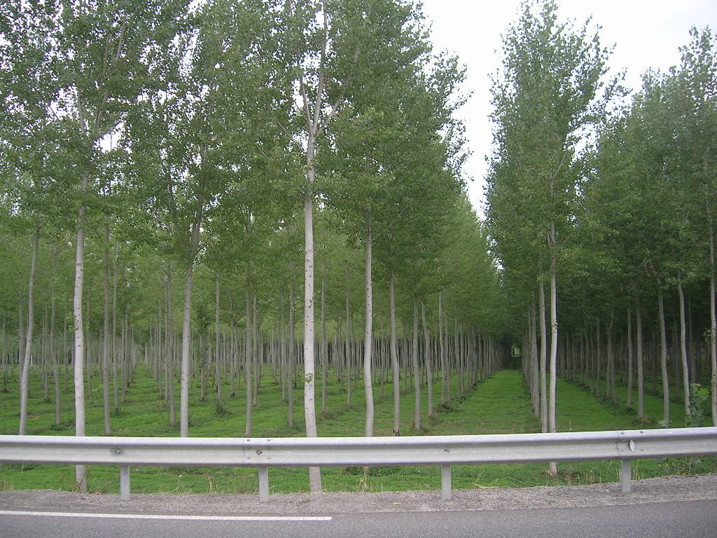 2005.0822.1605.51.Etape 22