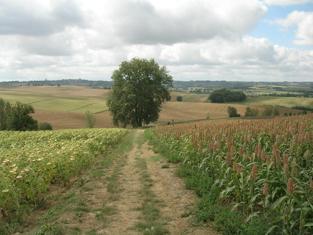 2005.0823.1235.00.Etape 23