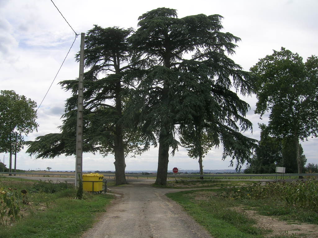 2005.0823.1530.00.Etape 23