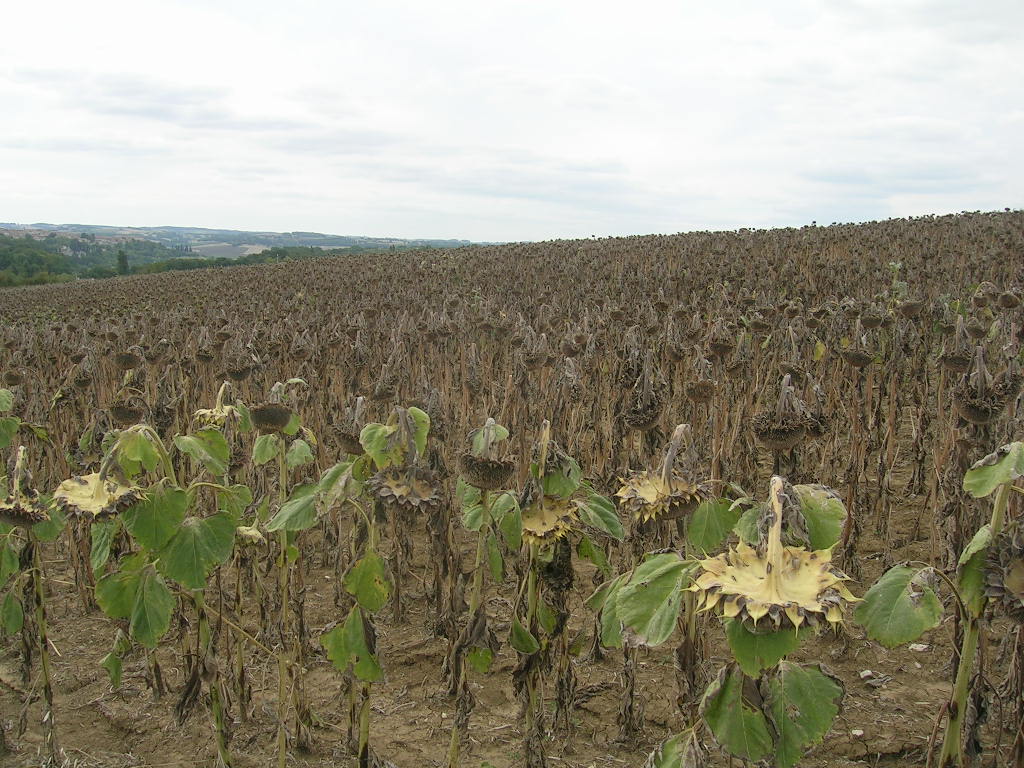 2005.0823.1542.18.Etape 23