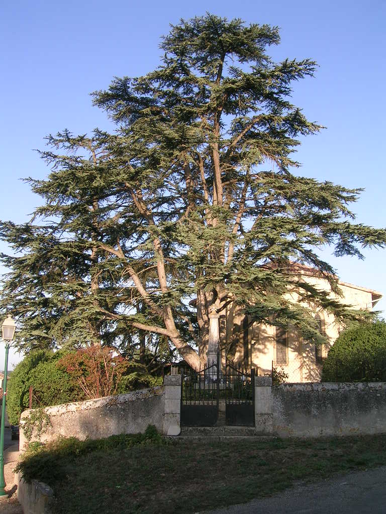 2005.0824.0823.20.Etape 24