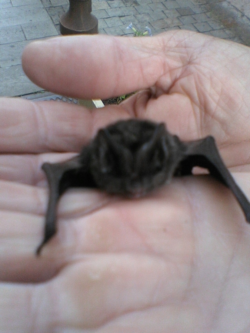 2005.0825.0802.01.Etape 25