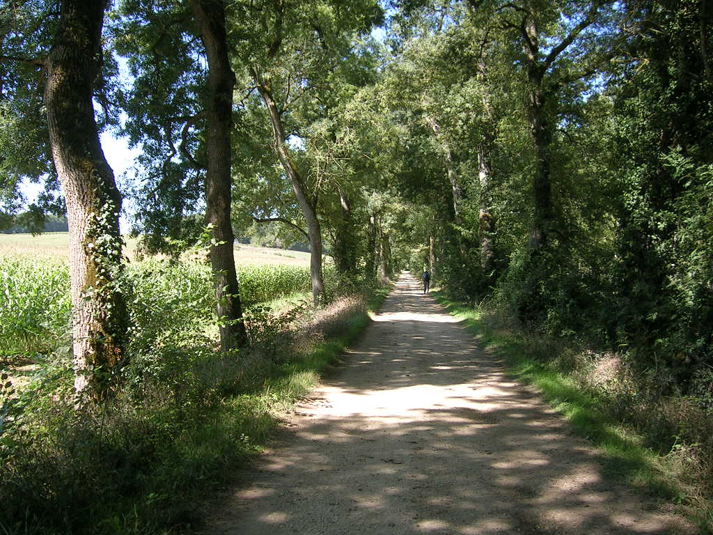 2005.0825.1240.56.Etape 25