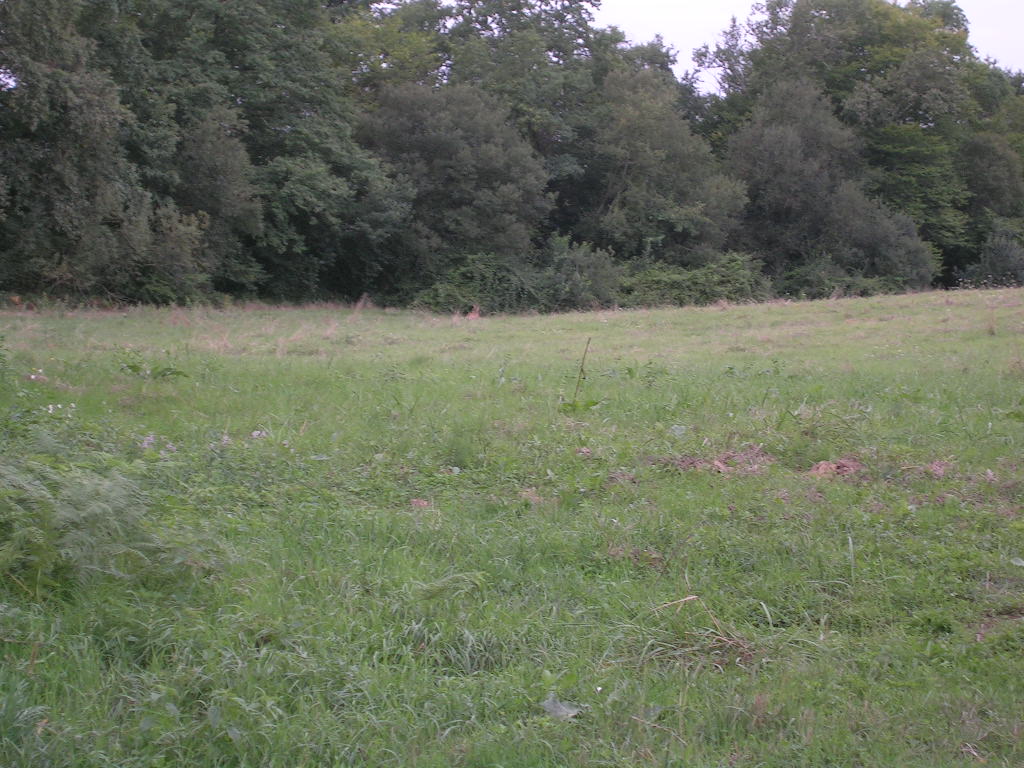 2005.0826.0845.33.Etape 26