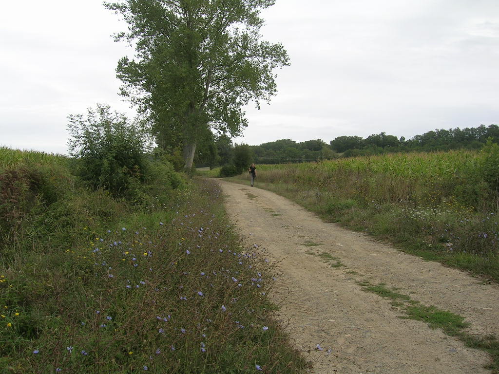 2005.0826.1205.51.Etape 26