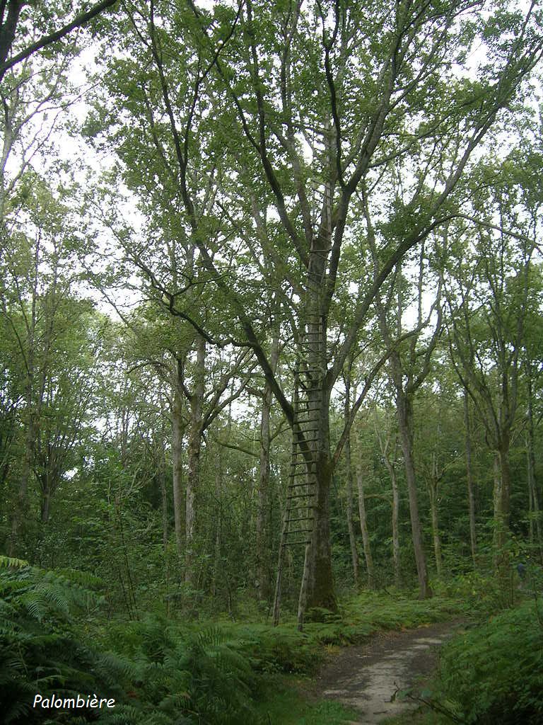 2005.0826.1329.41.Etape 26