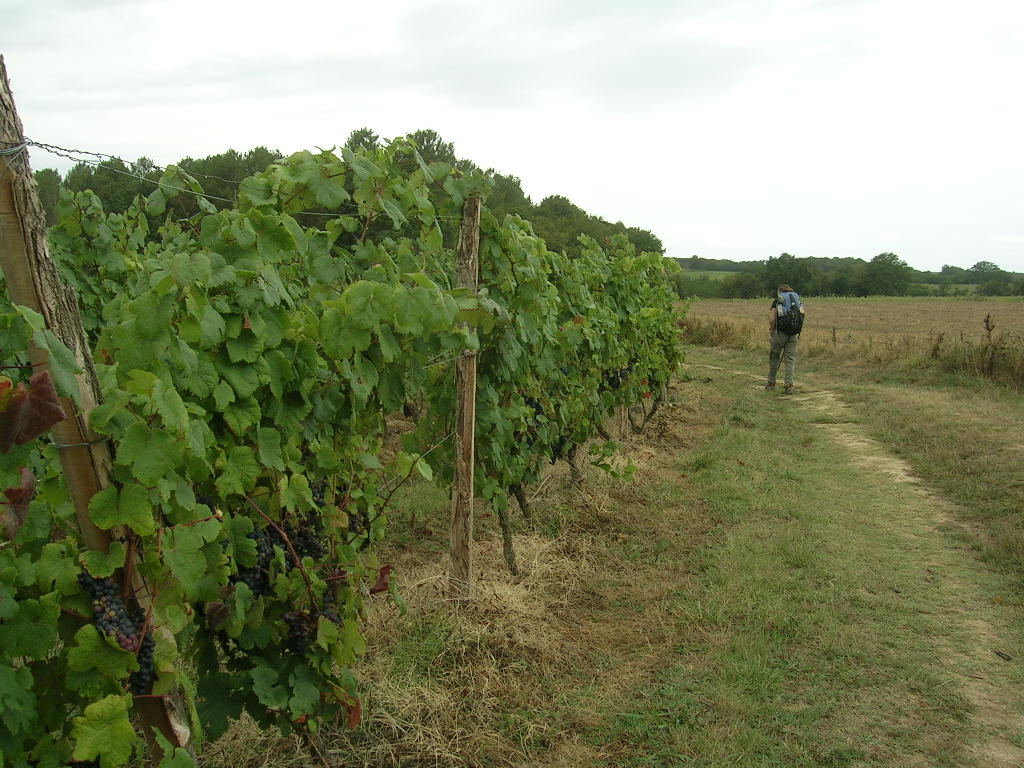 2005.0826.1418.19.Etape 26