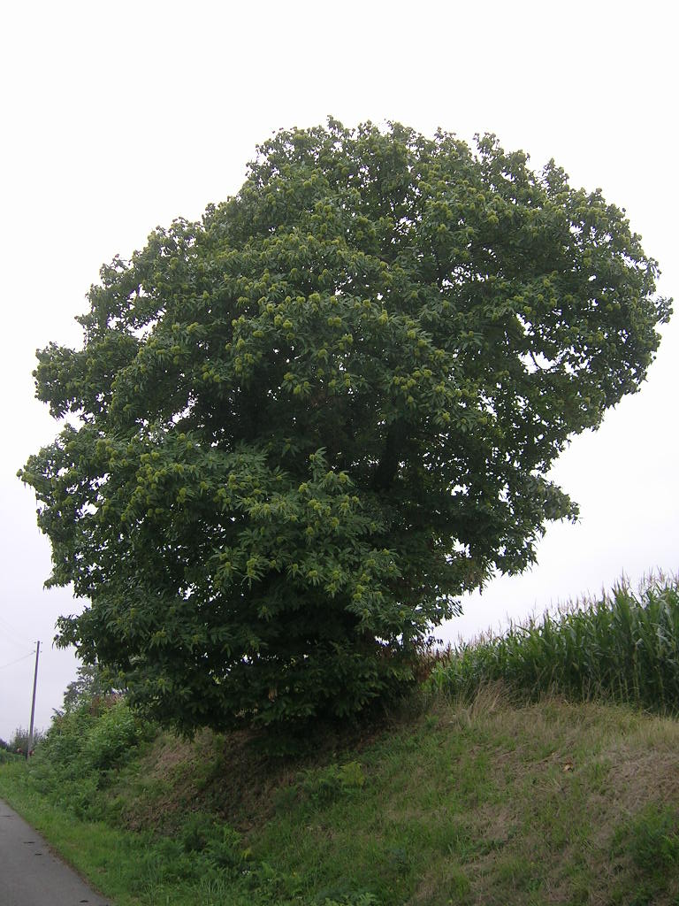 2005.0828.0900.05.Etape 28