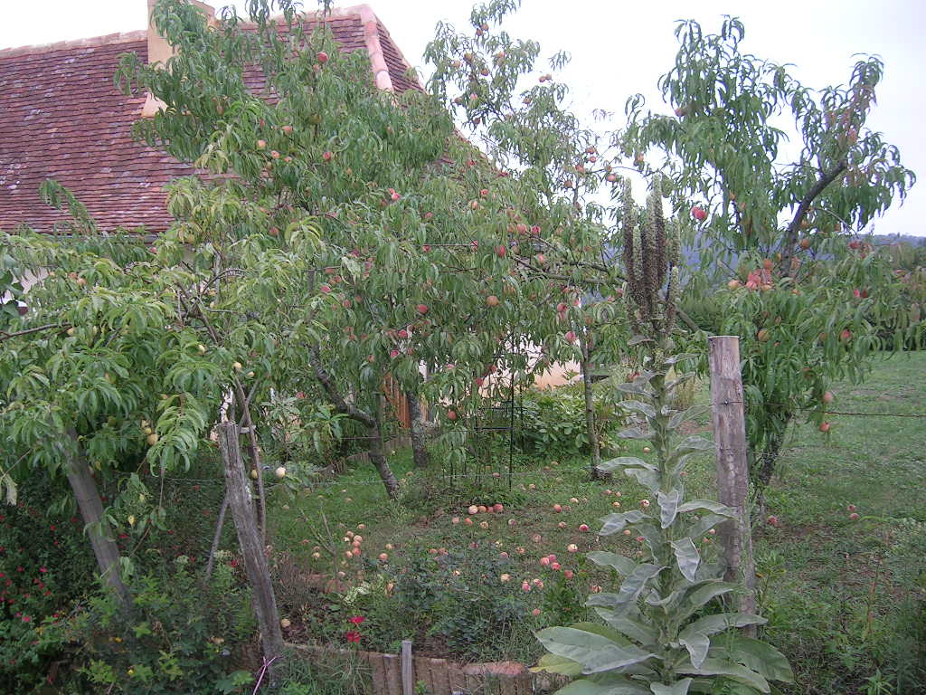 2005.0828.0900.55.Etape 28