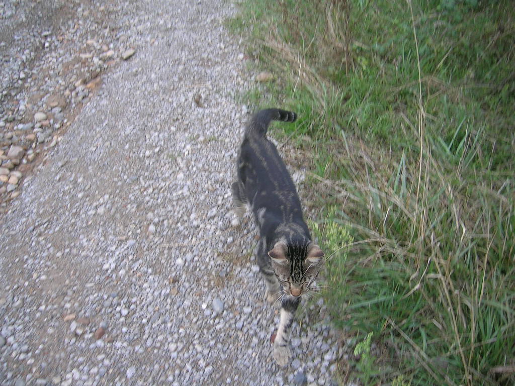 2005.0828.0914.52.Etape 28