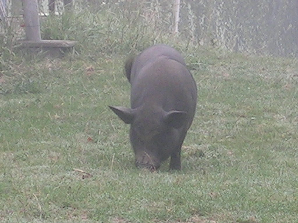 2005.0829.1003.46.Etape 29