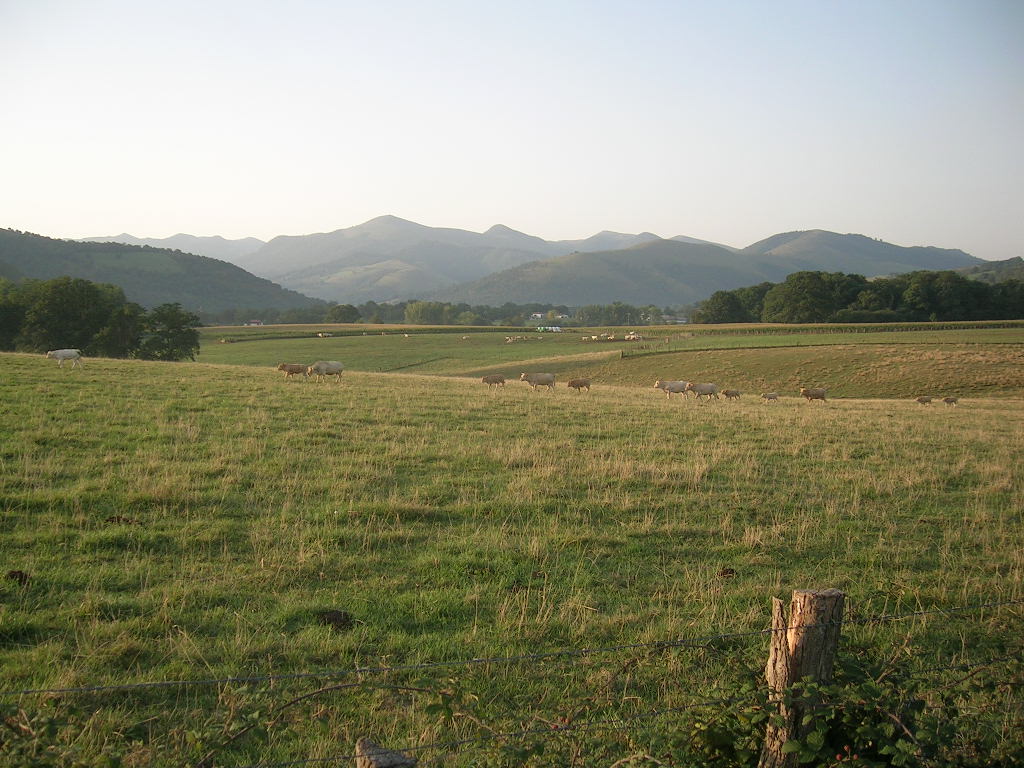 2005.0831.0814.58.Etape 31