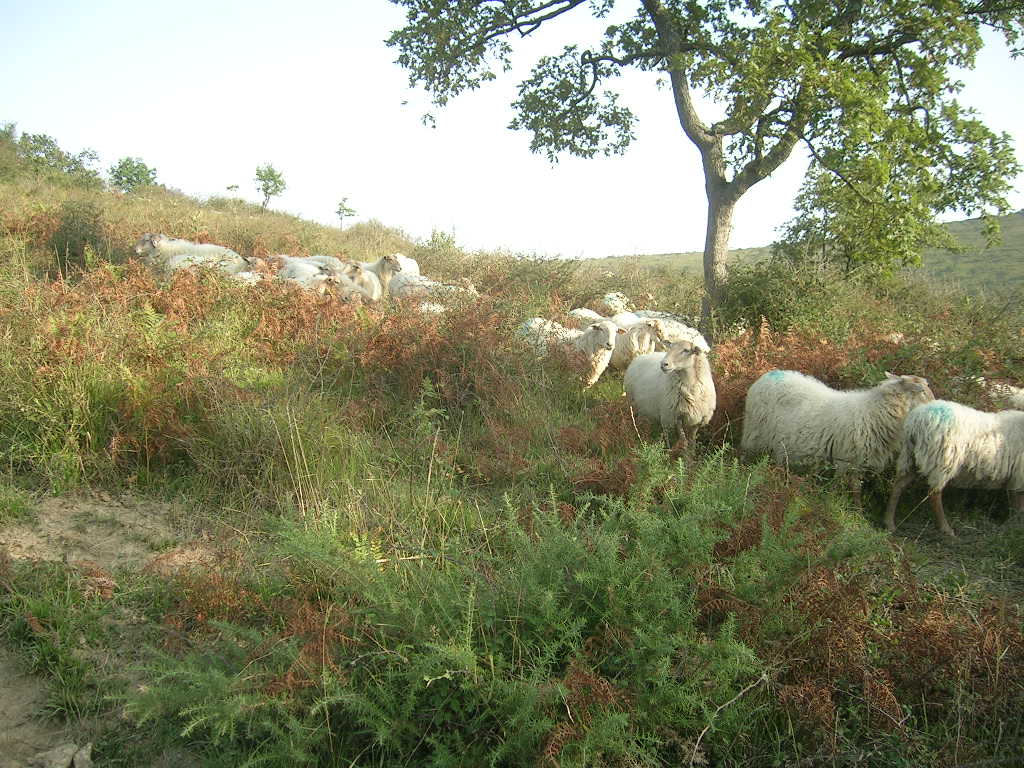 2005.0831.0913.22.Etape 31