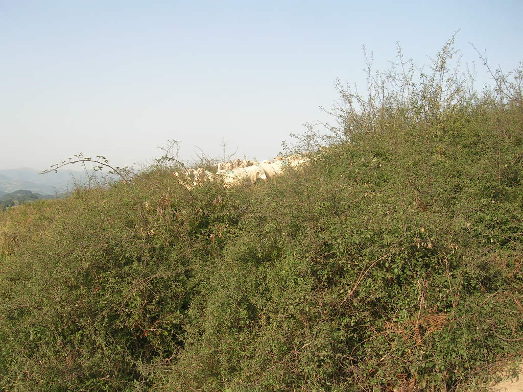 2005.0831.0916.47.Etape 31