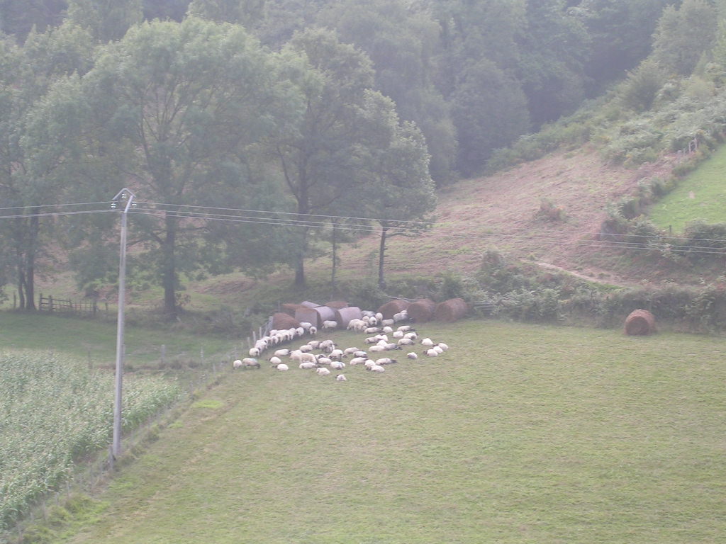 2005.0831.1104.41.Etape 31