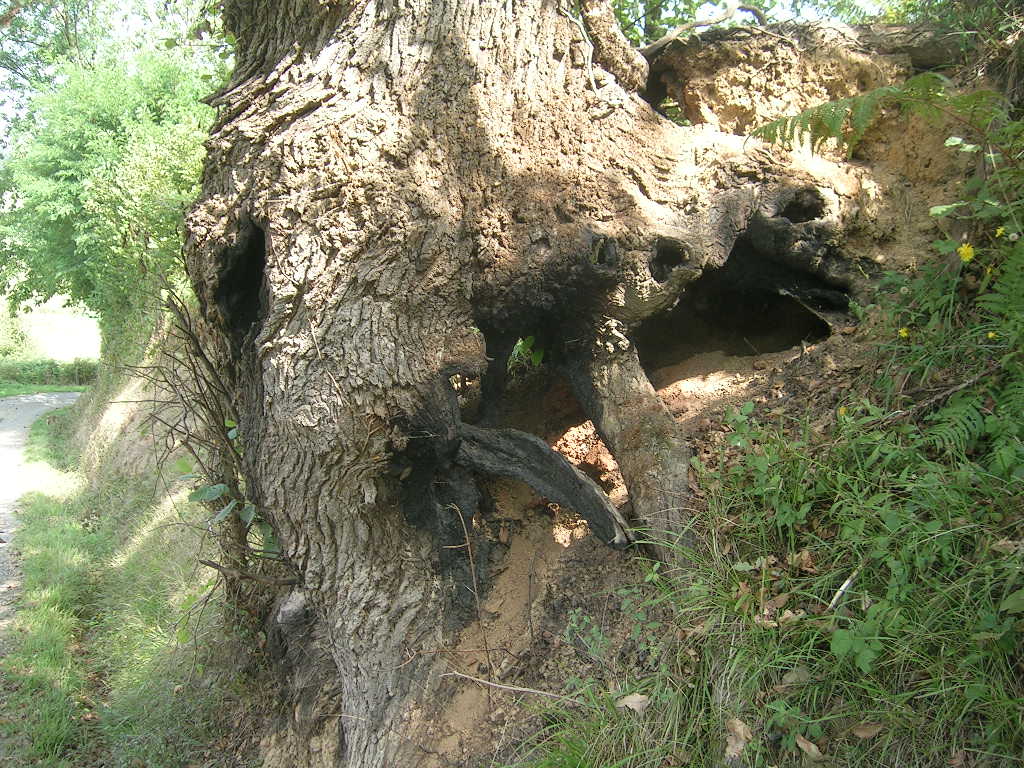 2005.0831.1210.43.Etape 31