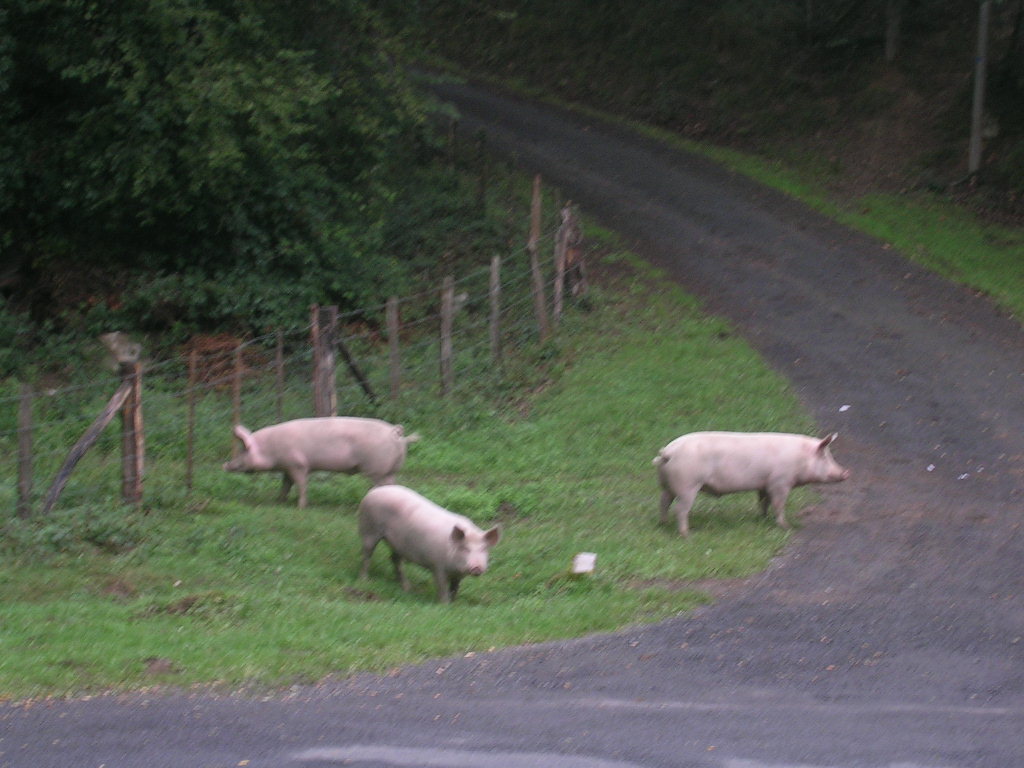 2005.0901.1014.01.Etape 32