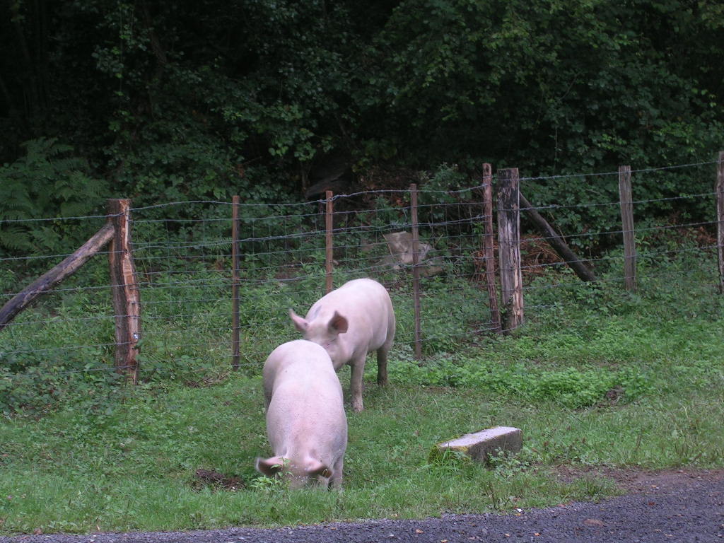 2005.0901.1014.55.Etape 32