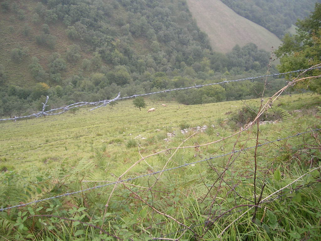 2005.0901.1350.45.Etape 32