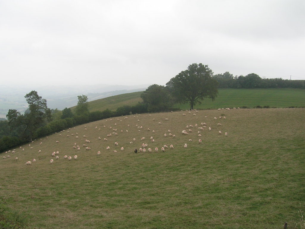 2005.0901.1424.13.Etape 32