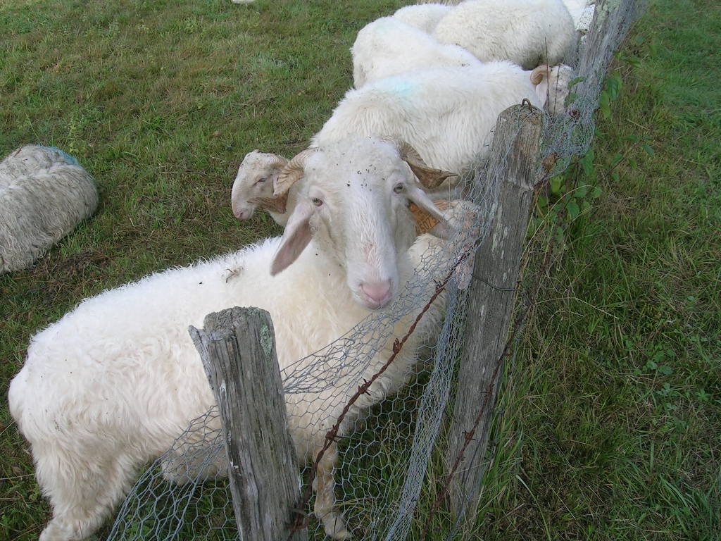 2005.0902.0948.29.Etape 33