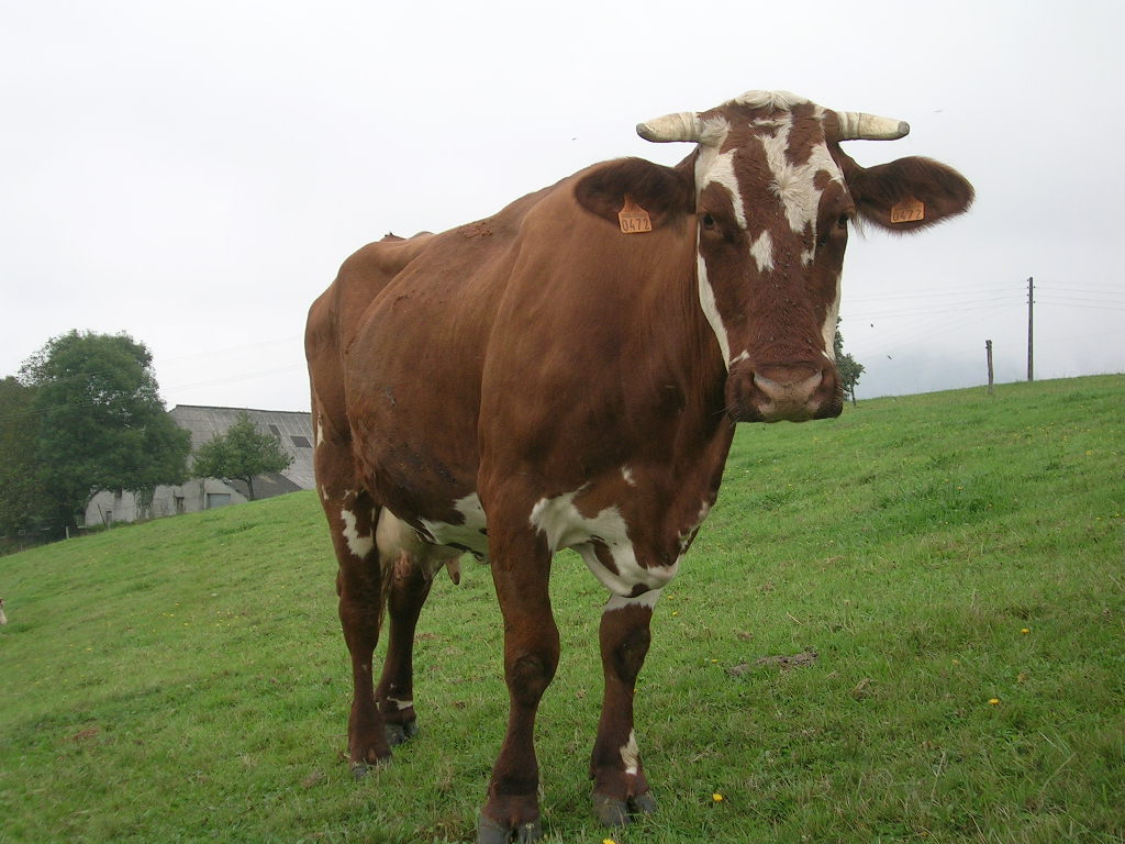 2005.0904.0921.58.Etape 35