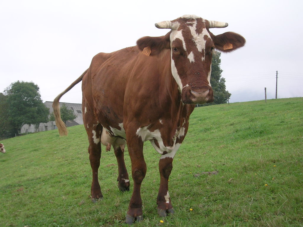 2005.0904.0922.36.Etape 35