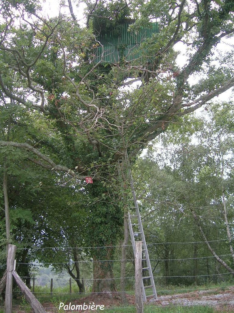 2005.0904.1009.51.Etape 35