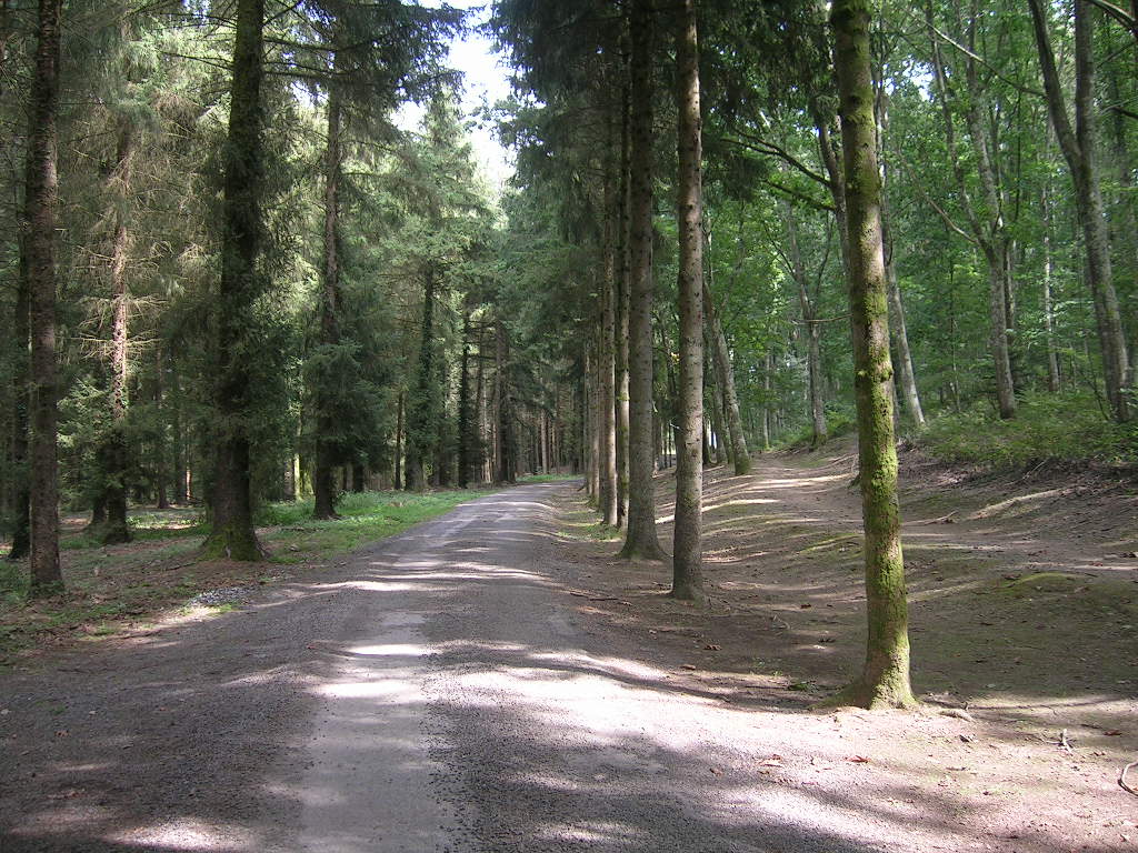 2005.0904.1424.35.Etape 35